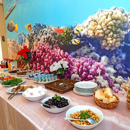 Seyri 3* 이스탄불