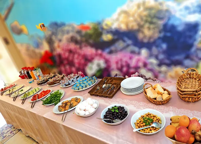 Seyri איסטמבול