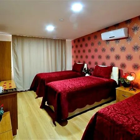 Seyri Hotell 3*